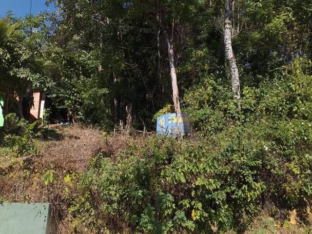 #TE014 - Terreno para Venda em Ubatuba - SP - 3