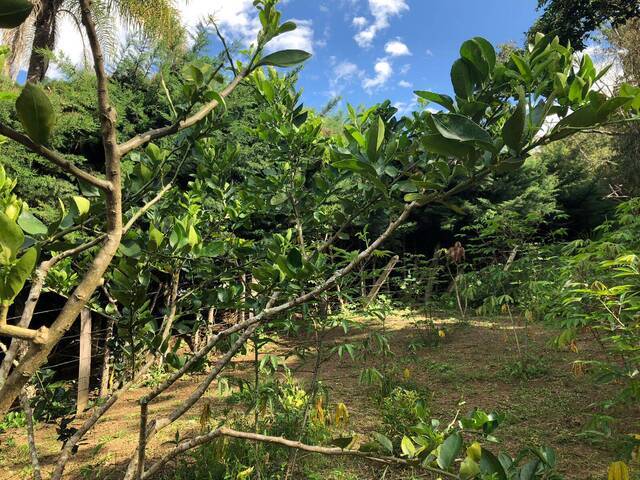 Chácara para Venda em São José dos Campos - 5